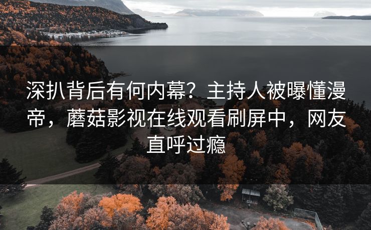 深扒背后有何内幕？主持人被曝懂漫帝，蘑菇影视在线观看刷屏中，网友直呼过瘾