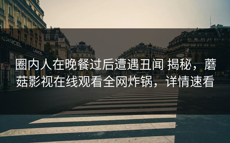 圈内人在晚餐过后遭遇丑闻 揭秘，蘑菇影视在线观看全网炸锅，详情速看