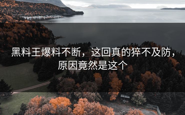黑料王爆料不断，这回真的猝不及防，原因竟然是这个