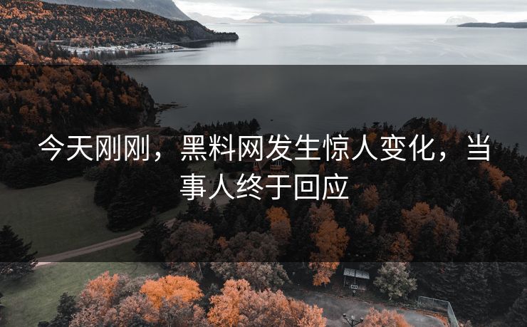 今天刚刚，黑料网发生惊人变化，当事人终于回应