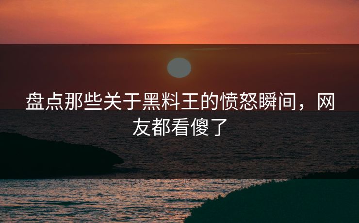 盘点那些关于黑料王的愤怒瞬间，网友都看傻了