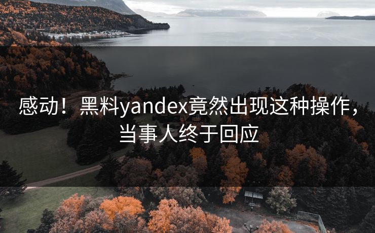 感动！黑料yandex竟然出现这种操作，当事人终于回应