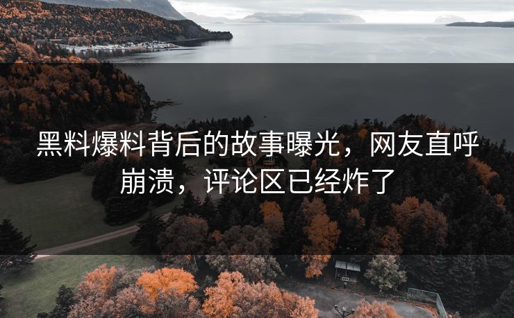 黑料爆料背后的故事曝光，网友直呼崩溃，评论区已经炸了