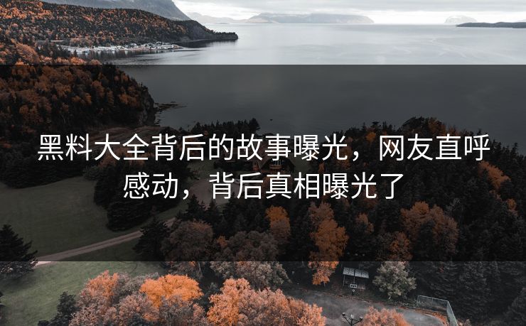 黑料大全背后的故事曝光，网友直呼感动，背后真相曝光了