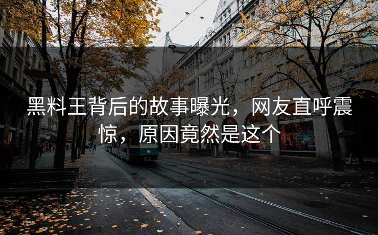黑料王背后的故事曝光，网友直呼震惊，原因竟然是这个