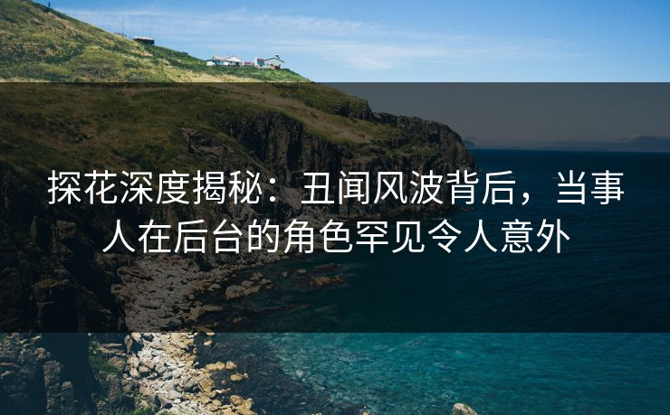 探花深度揭秘：丑闻风波背后，当事人在后台的角色罕见令人意外