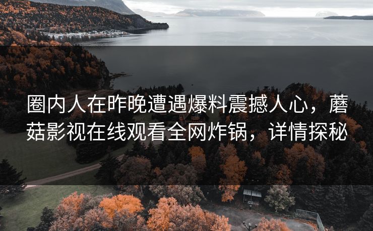 圈内人在昨晚遭遇爆料震撼人心，蘑菇影视在线观看全网炸锅，详情探秘