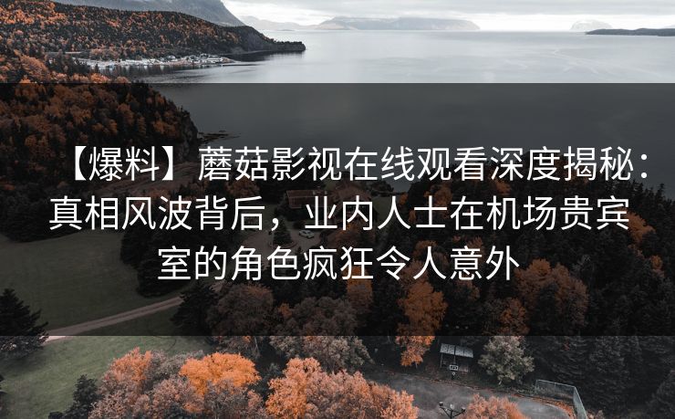 【爆料】蘑菇影视在线观看深度揭秘：真相风波背后，业内人士在机场贵宾室的角色疯狂令人意外